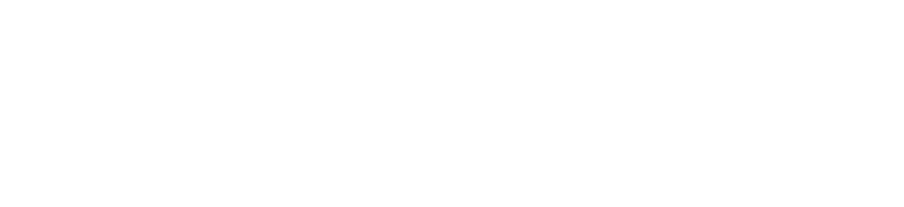 LEOLEX AI